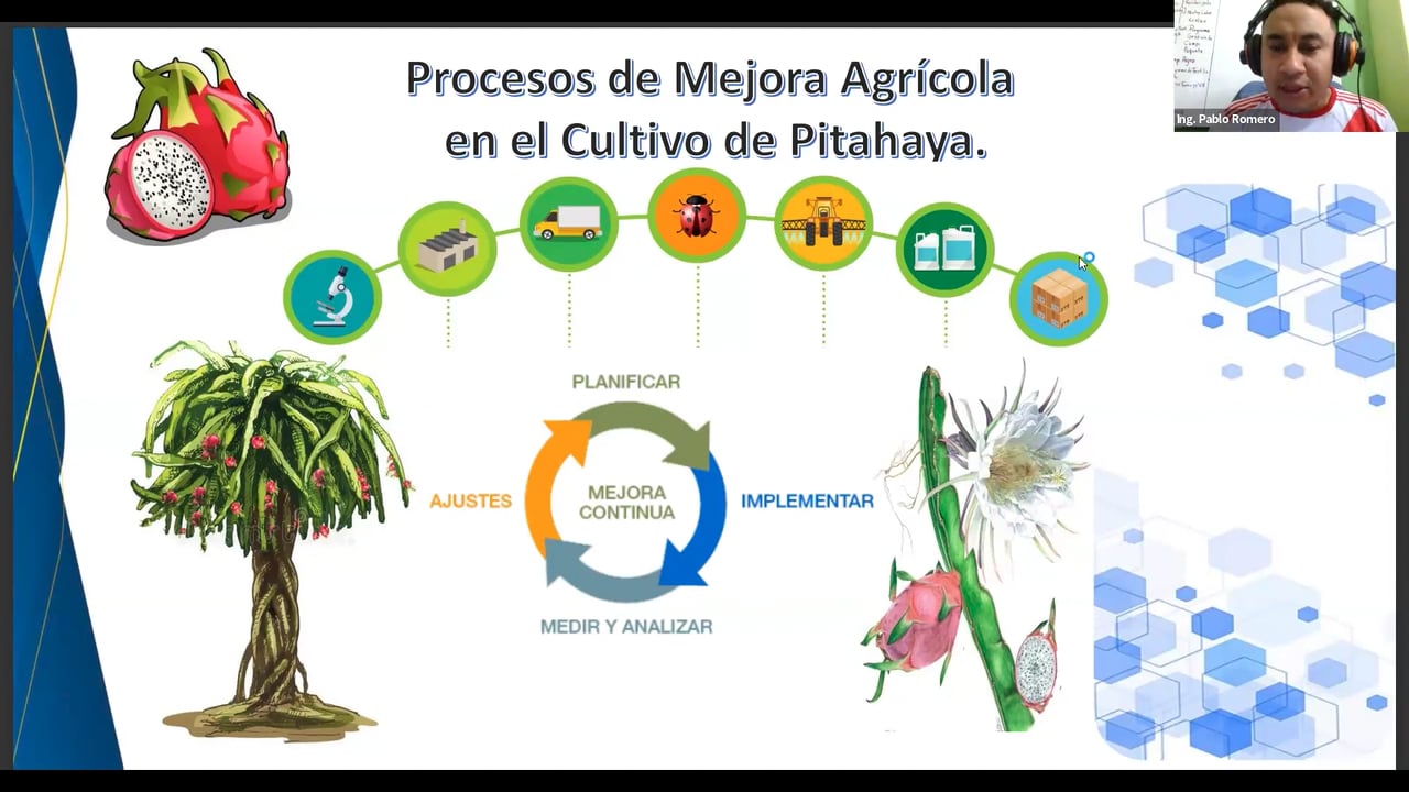 Procesos de Mejora Agrícola en el cultivo de Pitahaya.