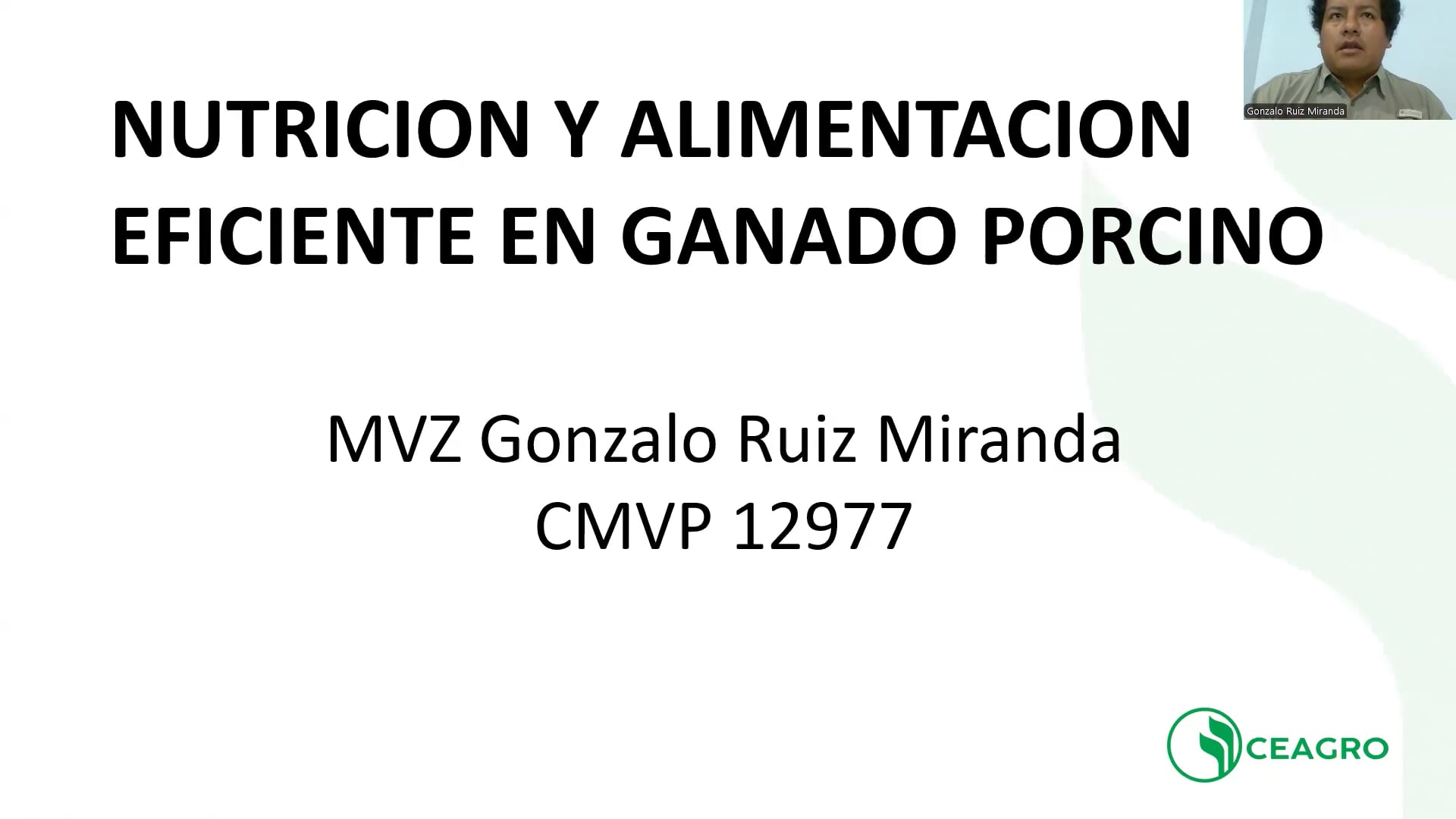 Nutrición y alimentación eficiente en ganado porcino